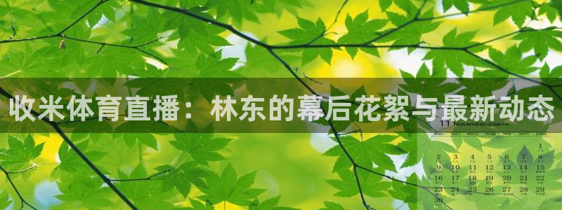收米体育直播：林东的幕后花絮与最新动态