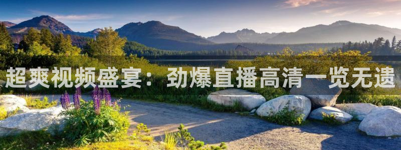 超爽视频盛宴：劲爆直播高清一览无遗
