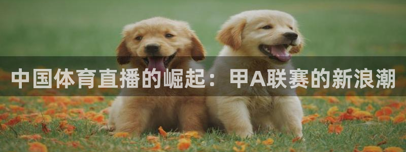 中国体育直播的崛起：甲A联赛的新浪潮