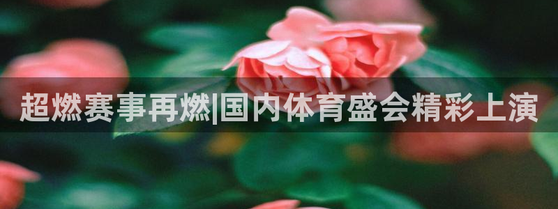 超燃赛事再燃|国内体育盛会精彩上演