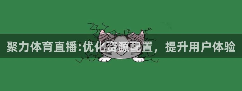 聚力体育直播:优化资源配置，提升用户体验