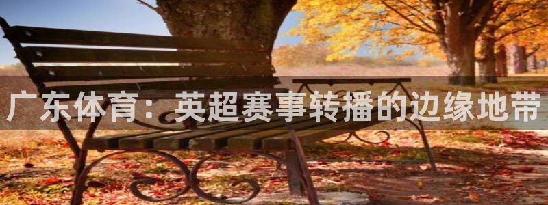 广东体育：英超赛事转播的边缘地带