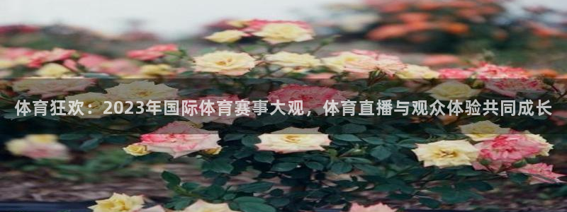 体育狂欢：2023年国际体育赛事大观，体育直播与观众体验共同成长