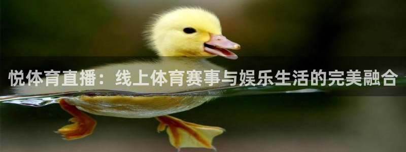 悦体育直播：线上体育赛事与娱乐生活的完美融合