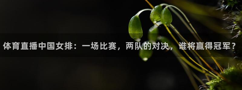 体育直播中国女排：一场比赛，两队的对决，谁将赢得冠军？