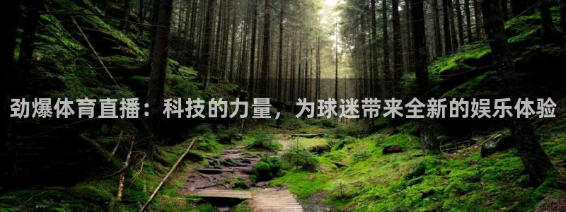 劲爆体育直播：科技的力量，为球迷带来全新的娱乐体验
