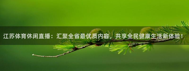 江苏体育休闲直播：汇聚全省最优质内容，共享全民健康生活新体验！